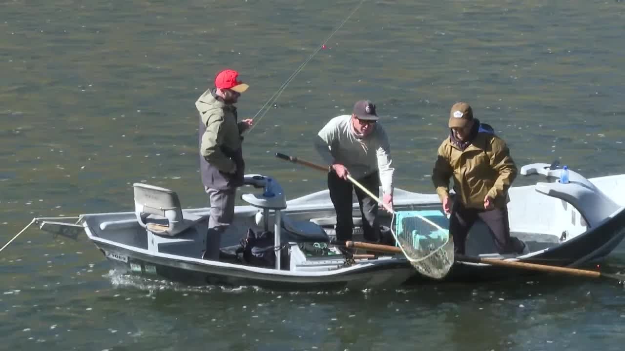 Montana crews restore trout spawning habitat in Madison River to boost declining populations
