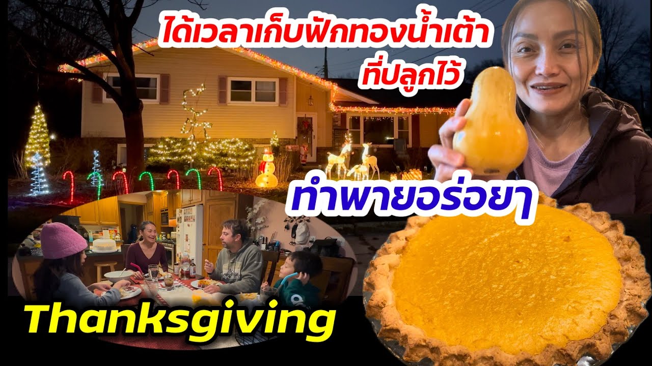 V392 เก็บฟักทองน้ำเต้าทำพาย ต้อนรับวันขอบคุณพระเจ้าที่อเมริกา Picked Butternut squash to make pie