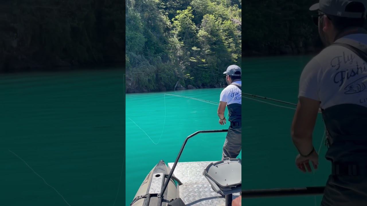 Trucha a la vista y un incre&iacute;ble momento pescando con mosca seca. #chileflyfishing #flyfishing