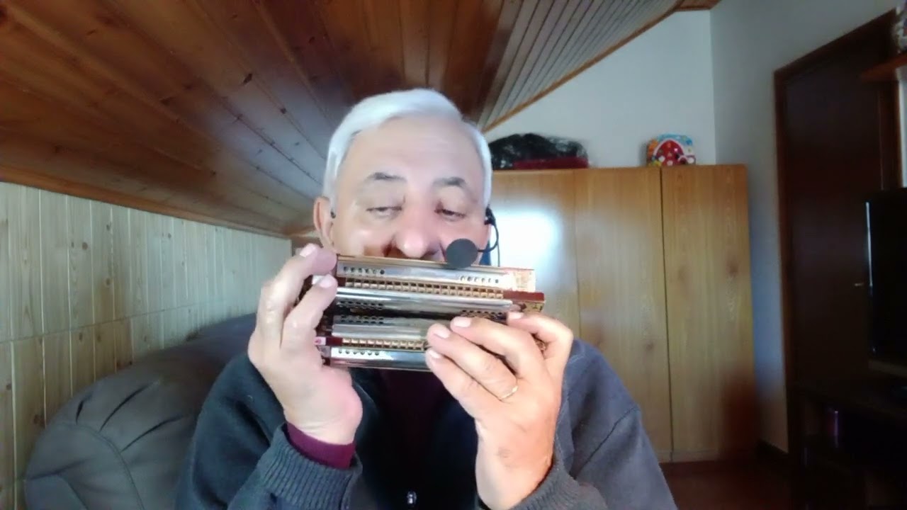 Il ponte sul fiume Kwai mix Pollka elaborazione del m.Cristian Ruggieri organetto a armonica👋
