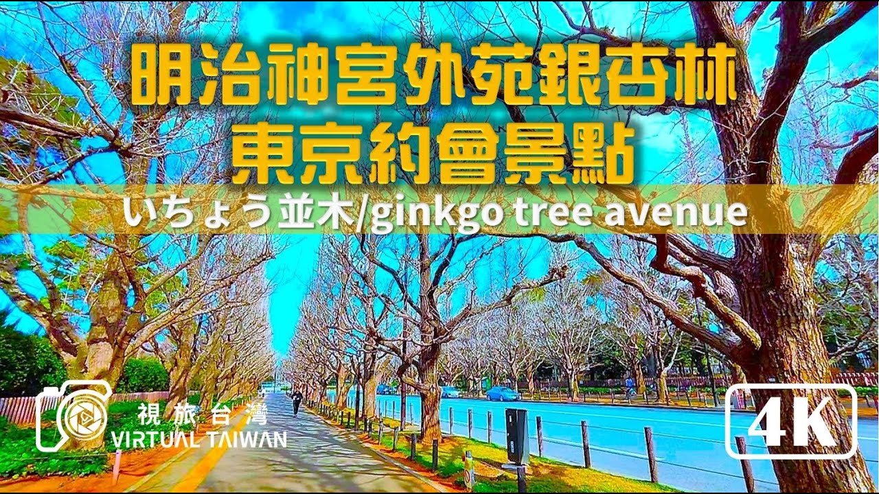 4K 日本自由行 EP 6 明治神宮外苑銀杏林 東京約會景點 Virtual Taiwan 視旅台灣 Japan Tour いちょう並木