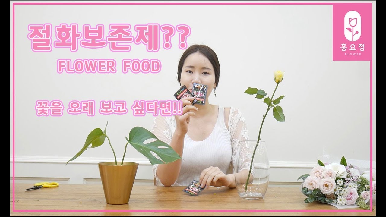 [꽃꽂이_플라워레슨]插花,花 절화보존제? flower food 에 대하여!