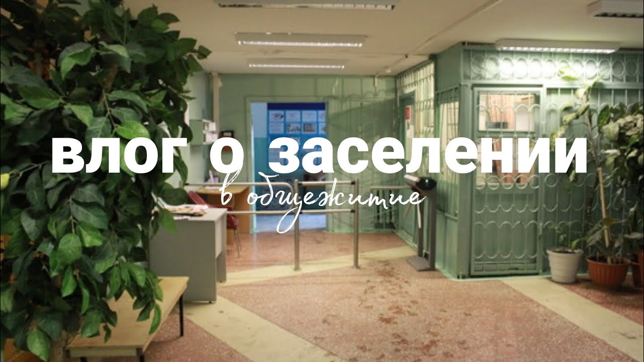 теперь я живу в общаге / влог