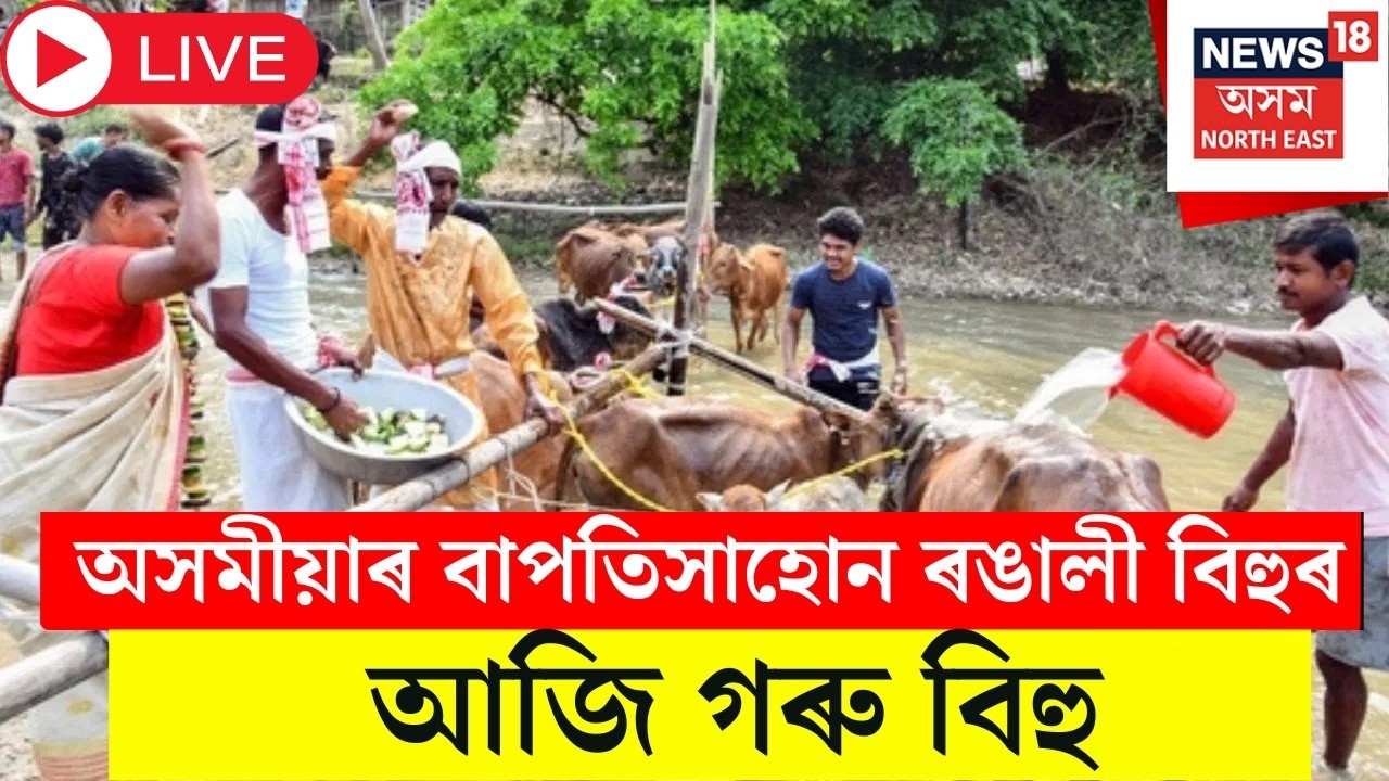 Bohag Bihu 2026 LIVE | আজি ৰঙালীৰ গৰু বিহু | Bohag Bihu 2026 | Assam Tradition |