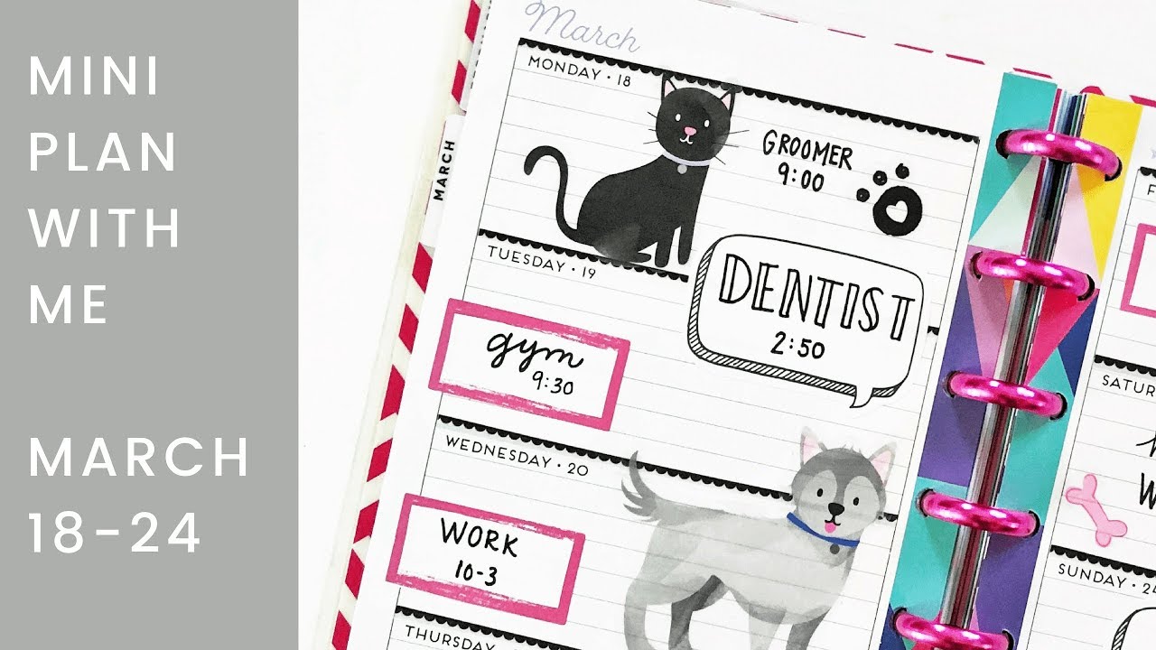 Mini Happy Planner Plan with Me - March 18-24, 2019 - Pets!
