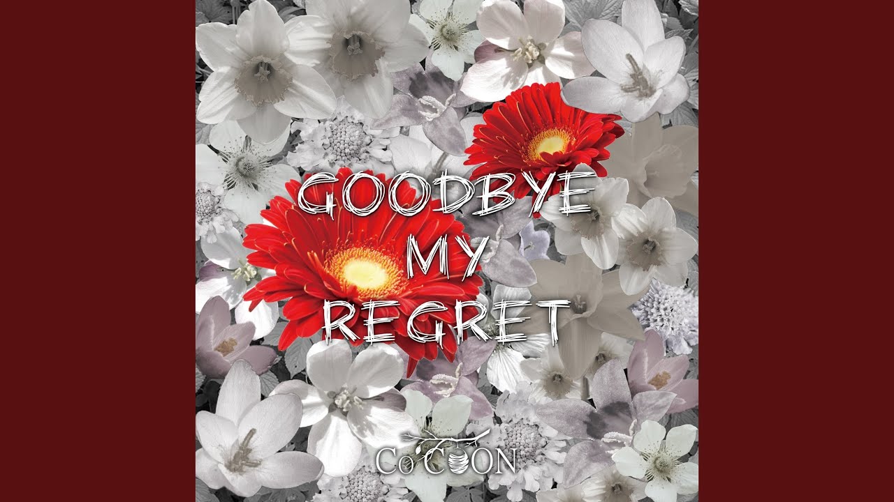GOODBYE MY REGRET