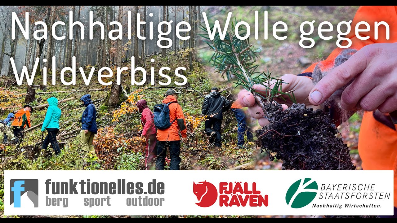 Nachhaltige Wolle im Wald Wildverbiss Schutz funktionelles.de Fjällräven Wollwald