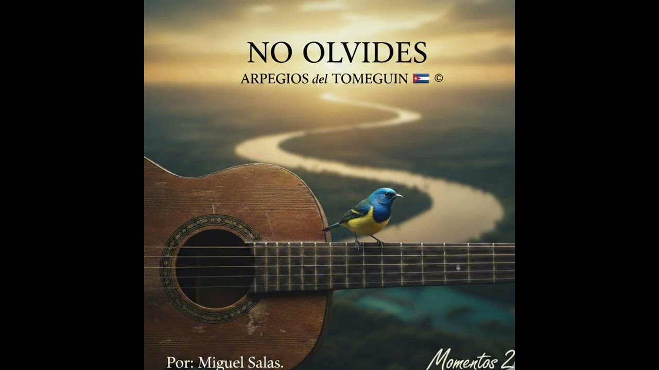 NO OLVIDES ( momentos 2)
