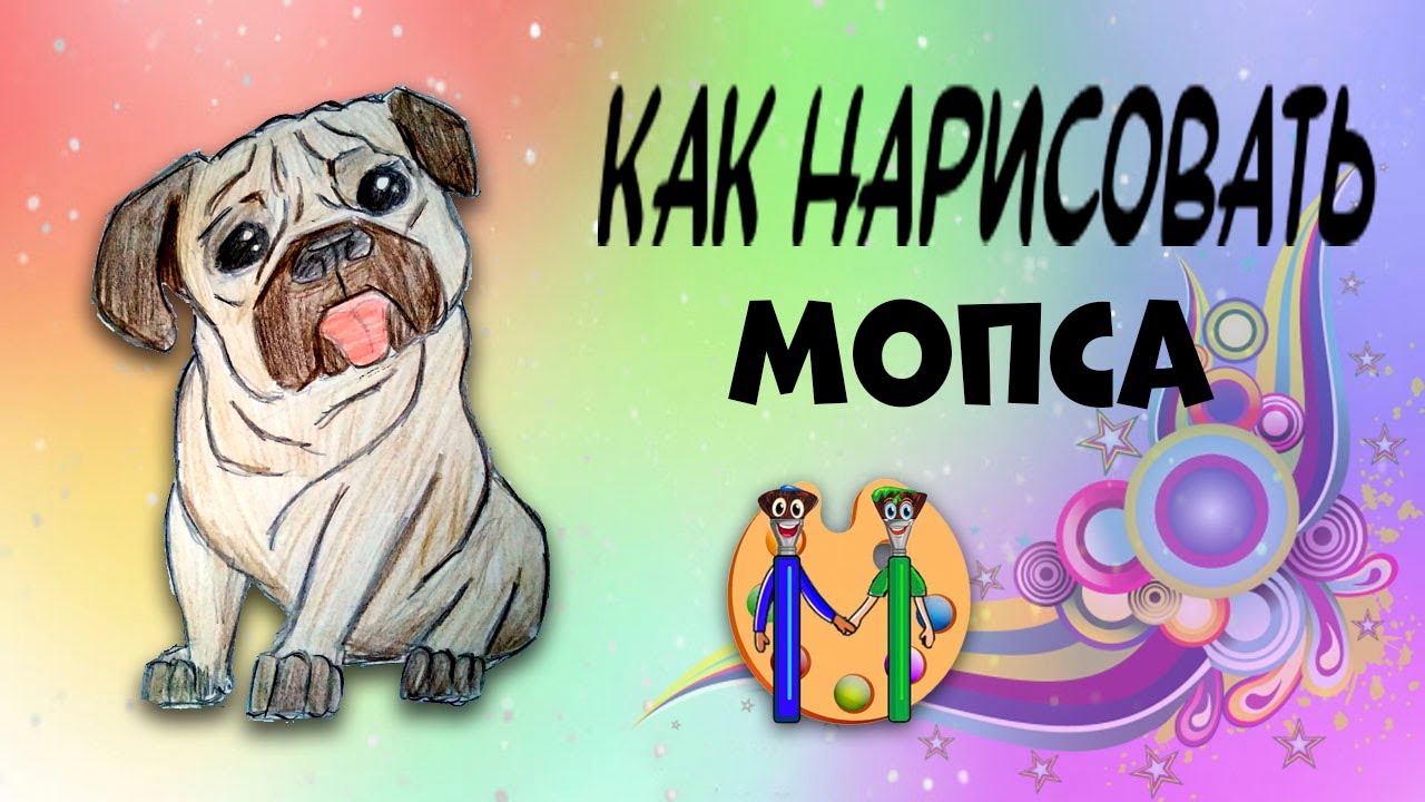 Как нарисовать мопса. Онлайн-школа рисования 