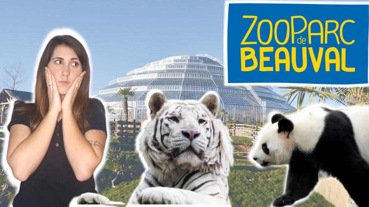 Vlog au Zoo de Beauval - Dome , Téléphérique et Pandas