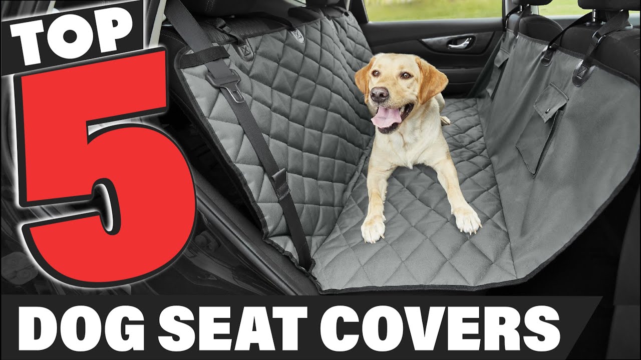 Best Dog Seat Cover In 2025 - Top 5 Dog Seat Covers Review