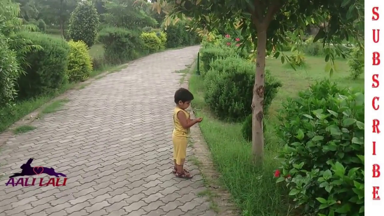 Malakwal Park | Malikwal Mandi Bahauddin | Green and Beautiful Park | & poor housekeeping