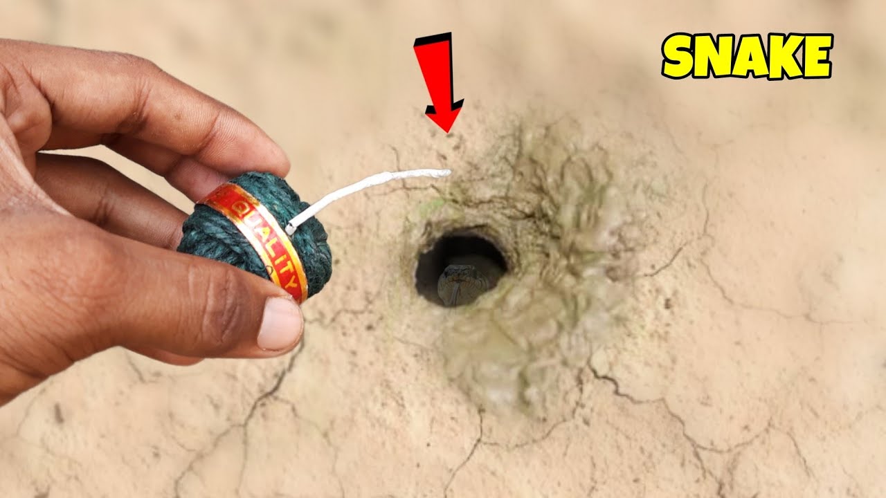 sutli vs hole | साँप का घर मे सुतली को डाल दिया | er. bispot star