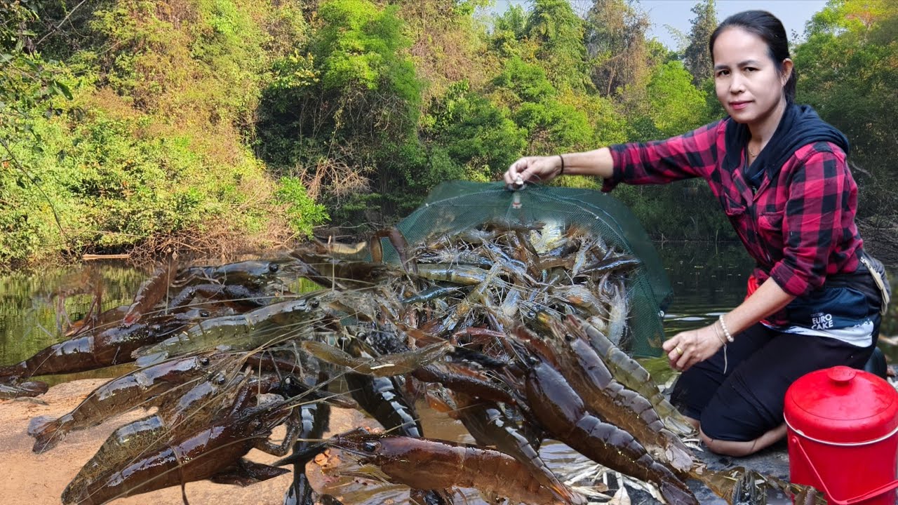 ดักกุ้งลำโดม!!เเตกซวดๆหมานคักจ้ากุ้งก้ามใหญ่ๆสดๆงามๆจ้า🦐🦐🦐🐟🦀