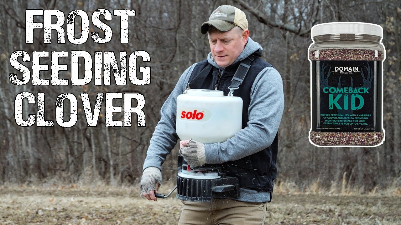 Frost Seeding Clover Into Chicory | Best FOOD PLOT | Domain Outdoors | Family Dream Farm
