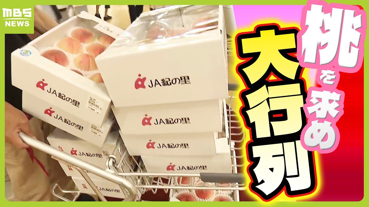 今が旬『あら川の桃』を求めて朝から大行列！「１２箱買った」「ほかの桃が食べられないほどおいしい」　和歌山・紀の川市（2024年7月9日）