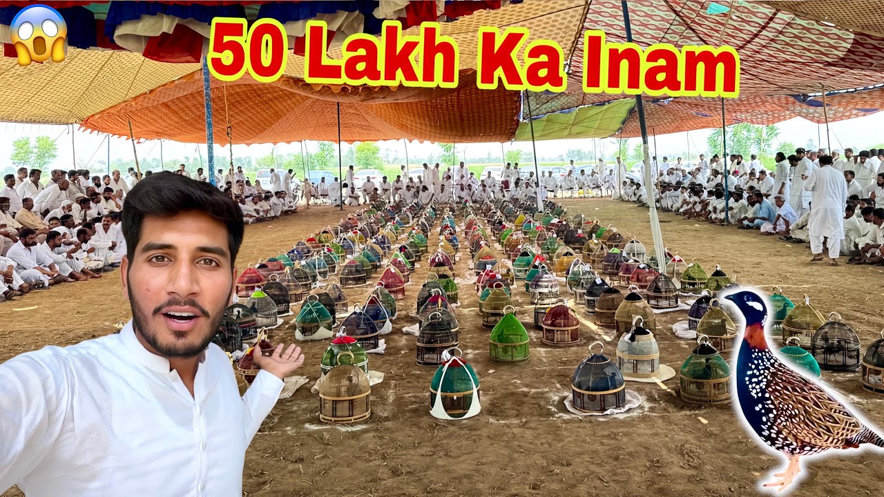 1000 Black Teetar Sound Competition😱 Biggest Match Challenge