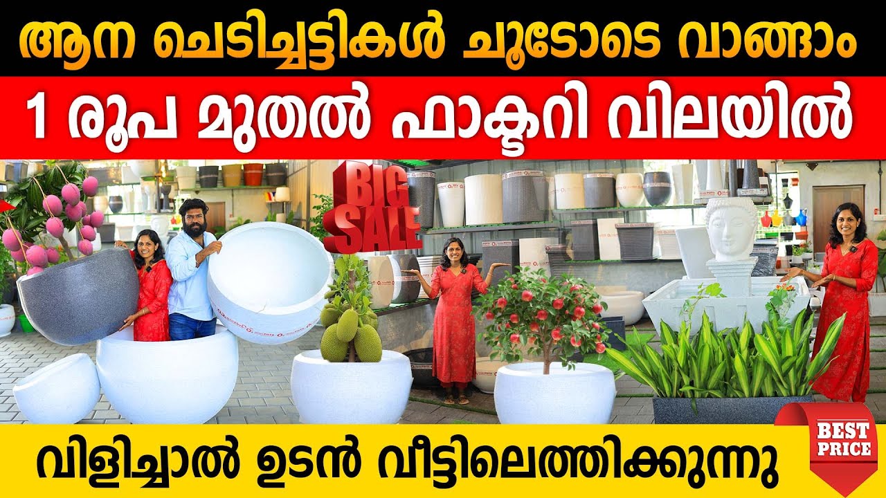 ആന ചെടിച്ചട്ടികൾ ചൂടോടെ വാങ്ങാം |1 രൂപ മുതൽ ഫാക്ടറി വിലയിൽ | വൻവിലക്കുറവ് ഇത് ആദ്യമായി#gardeningpots