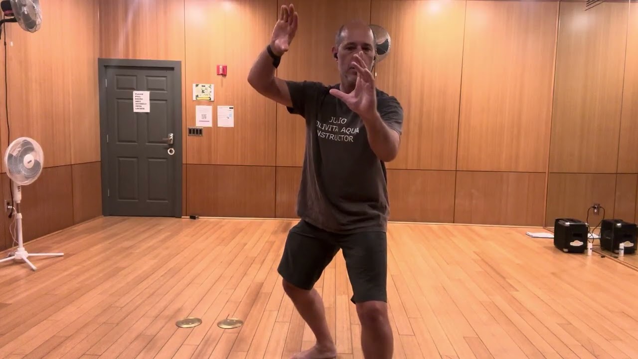 Yang Style Taichi - Turn Parry Punch