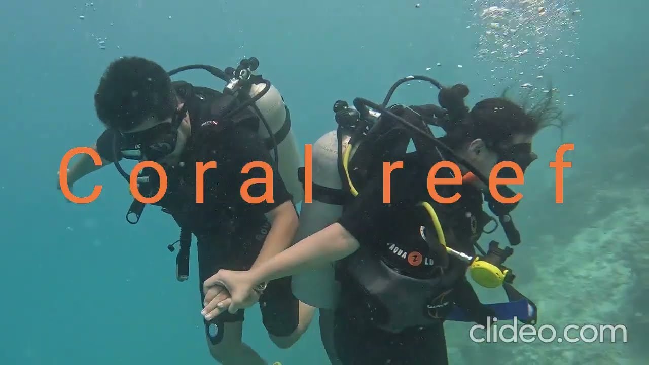 Scuba Diving, Olhuveli Indian Ocean