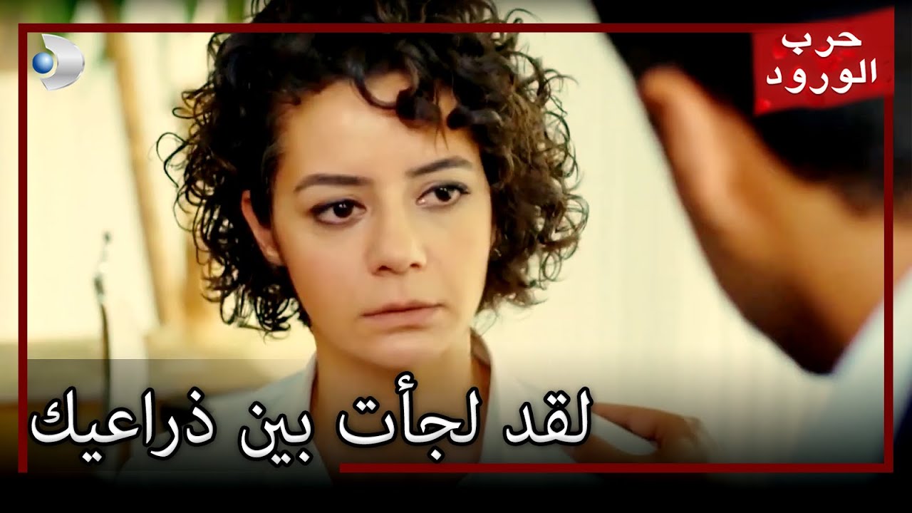 لجأ البرسيم إلى أحضان عمر حرب الورود