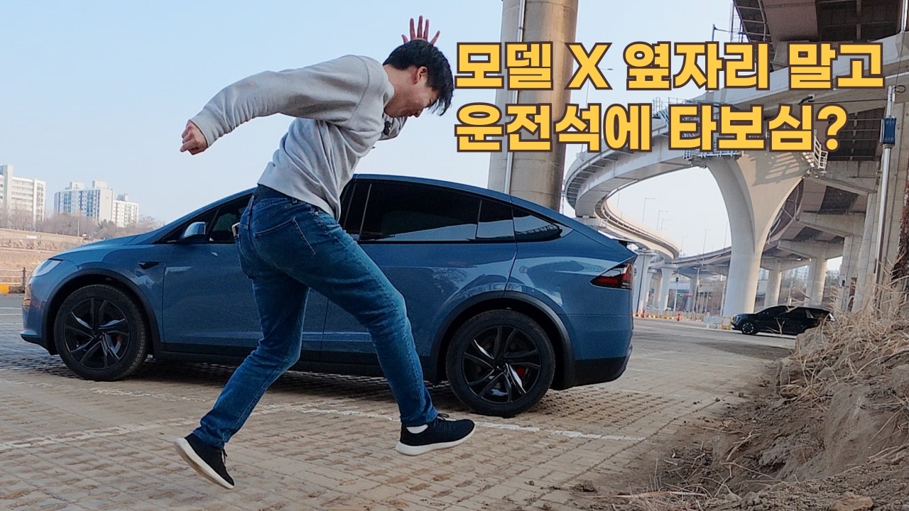 Model X... FSD 정말 지리네요