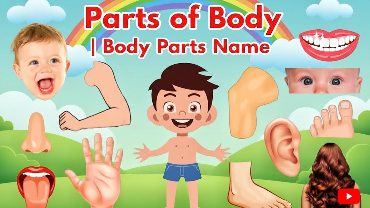 Parts of Body | Body Parts Name | Name of Body Parts in English with Pictures | the learning ladder