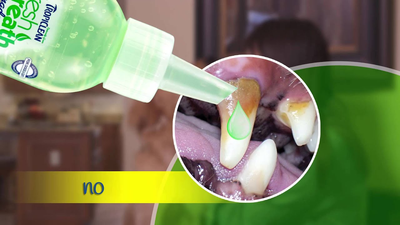 TropiClean Fresh Breath