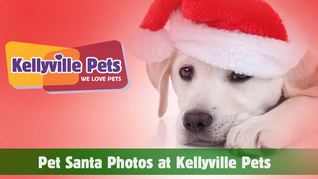 Kellyville Pets | Pet Santa Photos 2015