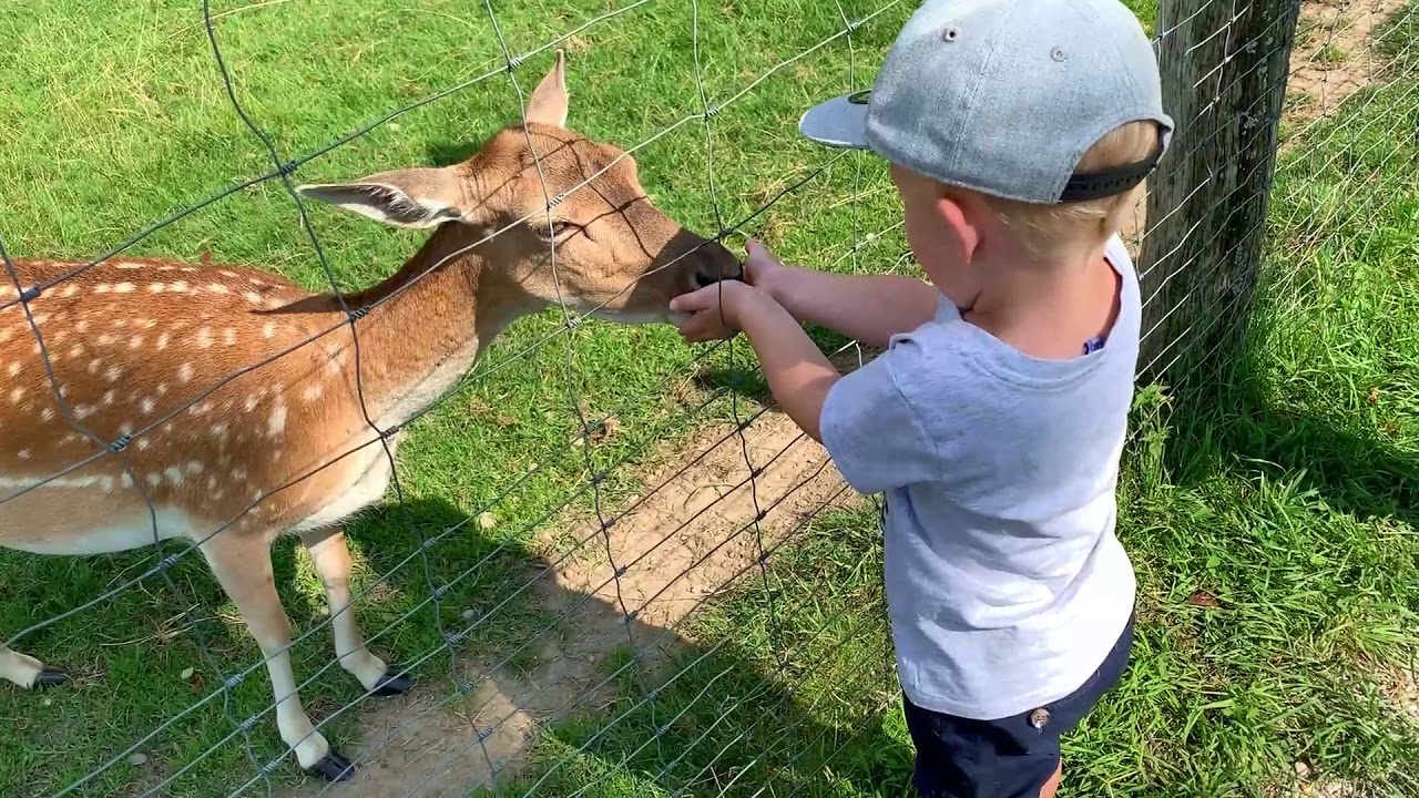 Ausflug in den Wildpark Oberreith (Oberrbayern)