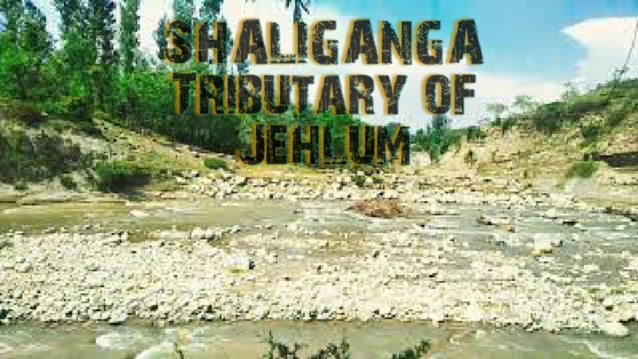#Shaliganga One of the most important tributary of #JEHLUM