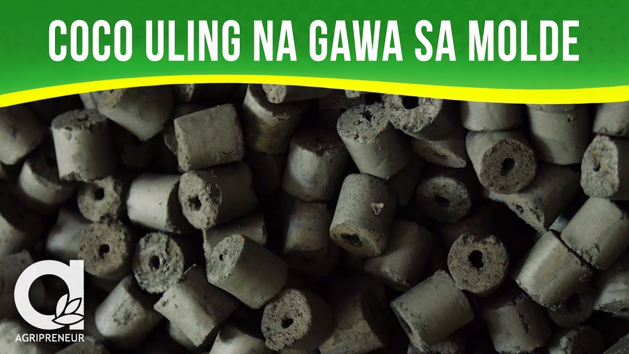 Ang Advantages ng Eco-Friendly na Briqstone Coco Charcoal Briquettes