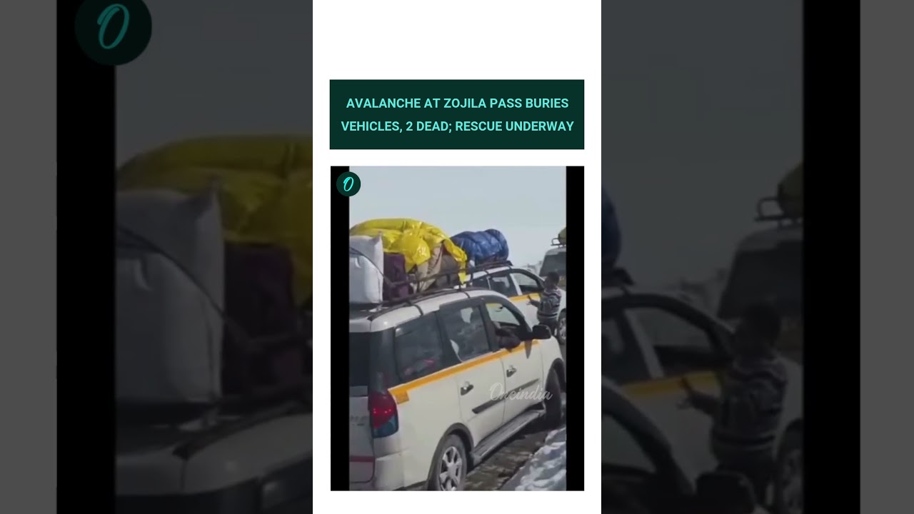 Zojila Pass Avalanche: Multiple Vehicles Buried, 2 Dead, Rescue Operations Ongoing
