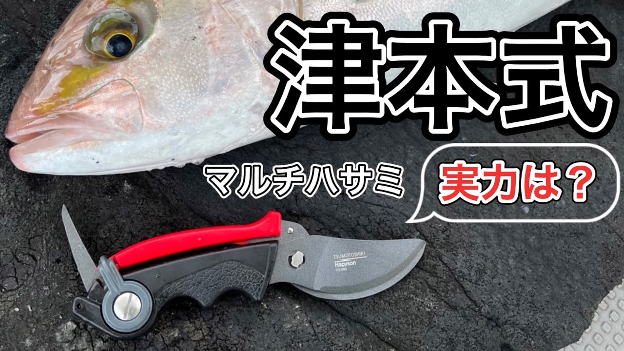 津本式のマルチハサミ使ってみた！釣り人必見！魚の血抜きはこれで充分？