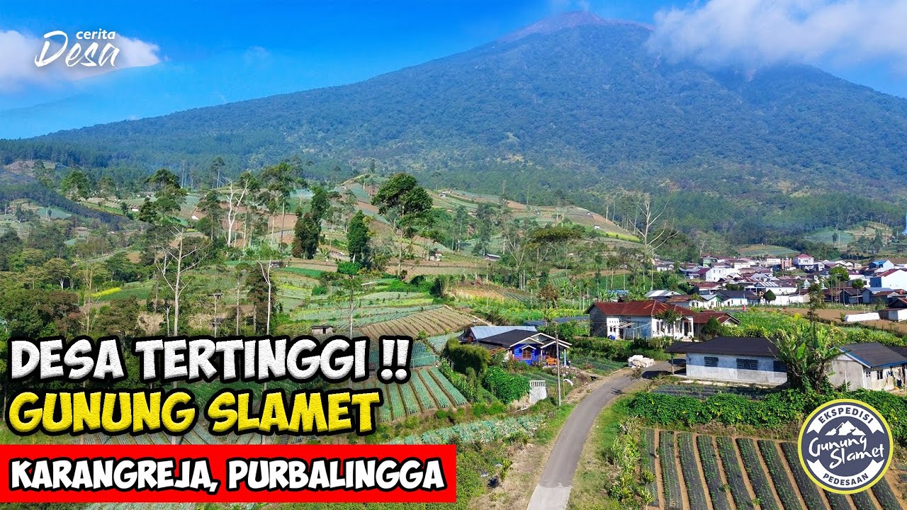 DESA TERTINGGI !! PEMANDANGAN ALAM DESA SERANG GUNUNG SLAMET - Cerita Desa Karangreja, Purbalingga