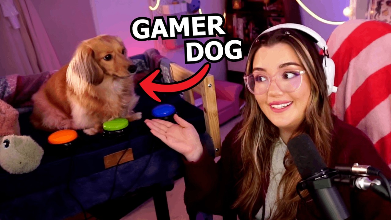 I turned my dog into a GAMER
