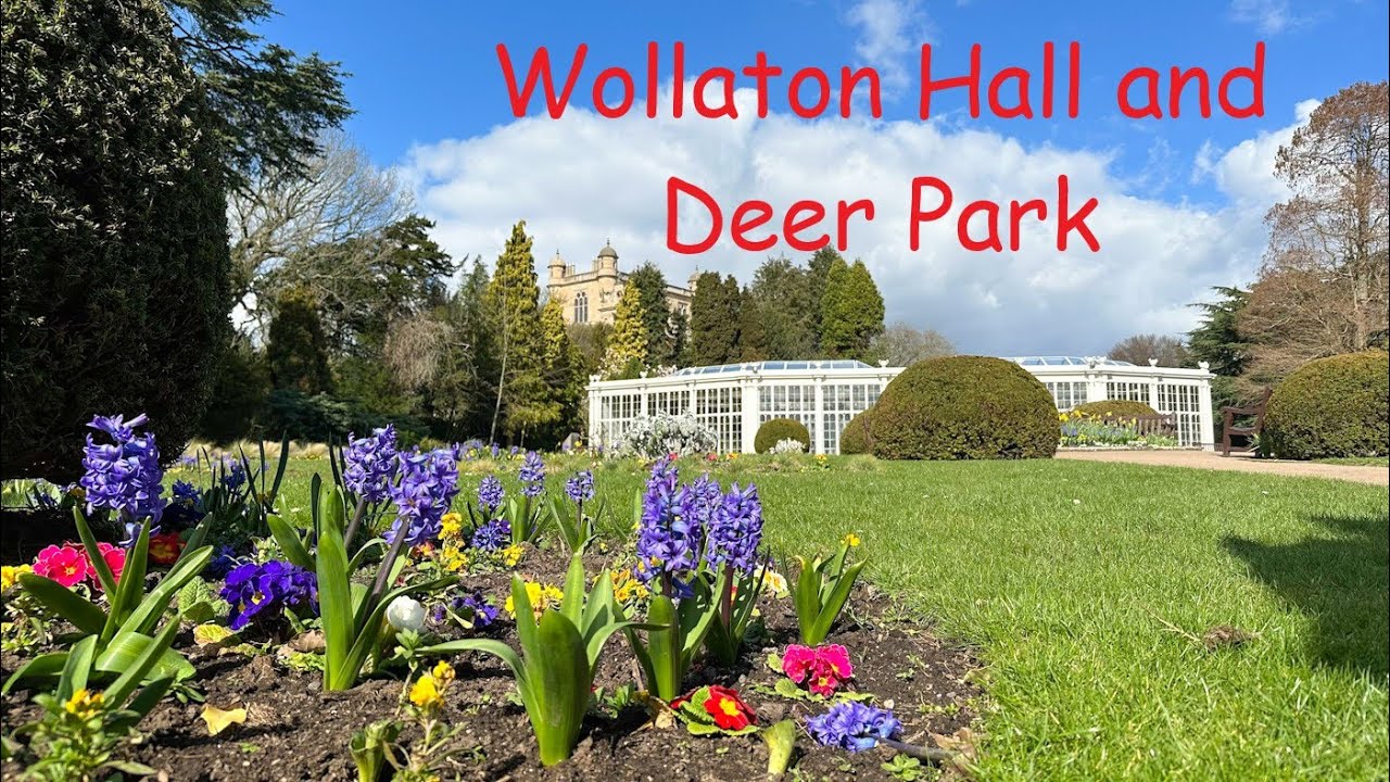 A walk round Wollaton Park (Nottingham) and swimming Red Deer.