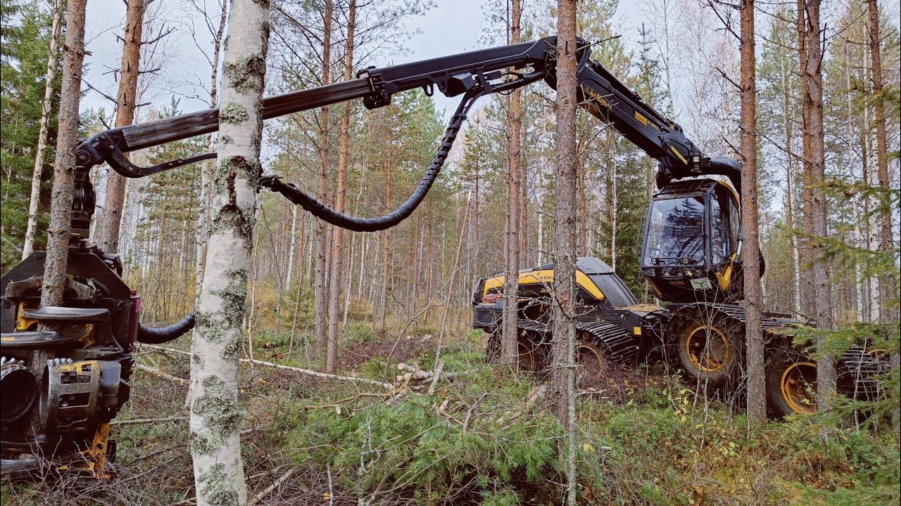 Ensiharvennusta monesta uudesta kuvakulmasta Ponsse Scorpion H6