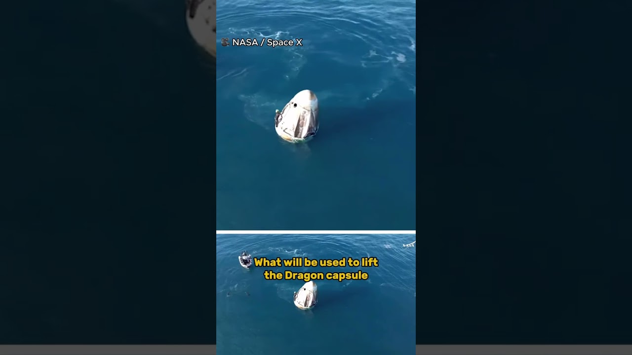 Pod of dolphins play about near NASA Space X capsule after splashdown