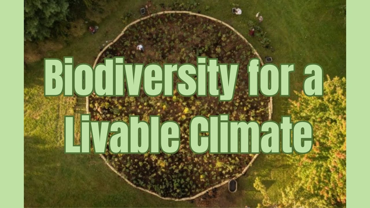 Biodiversity for a Livable Climate