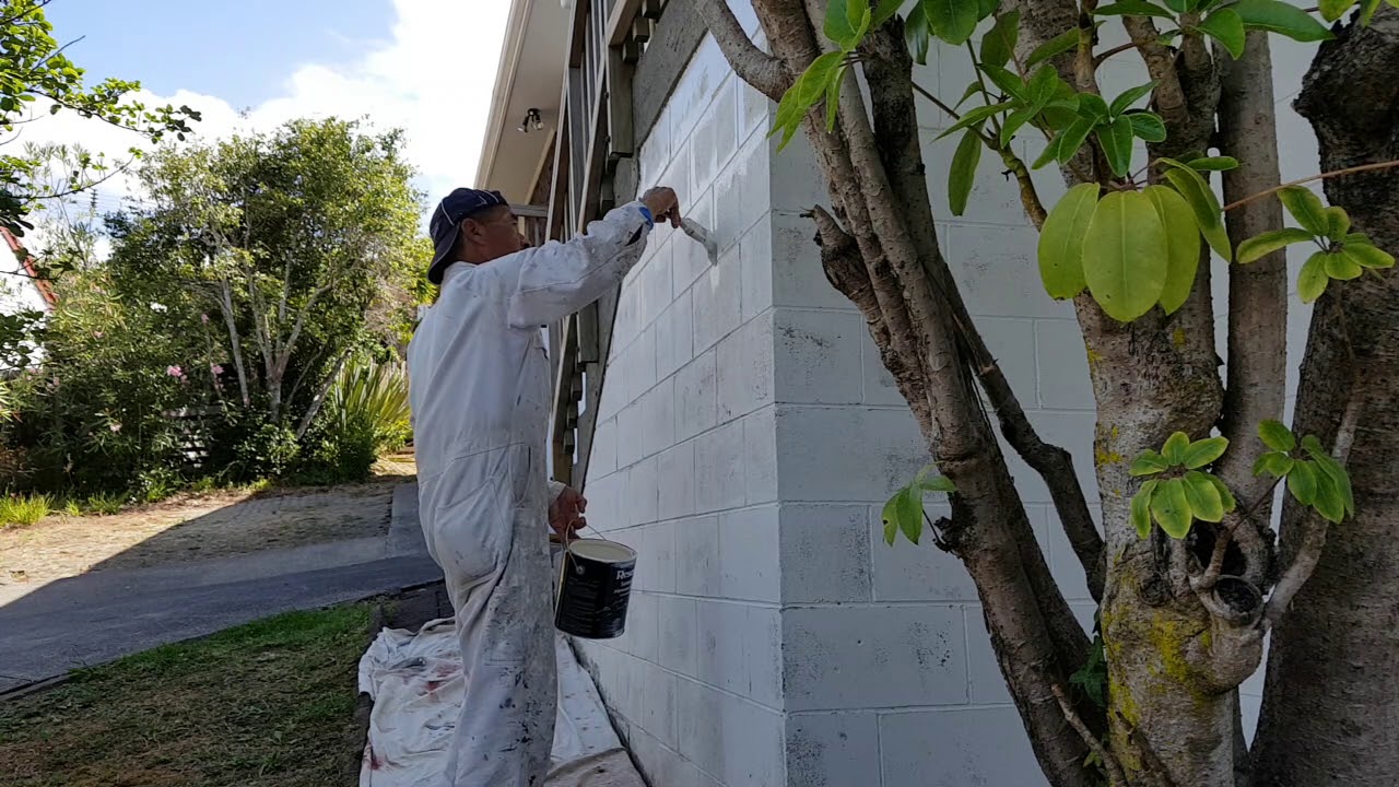House Painting - Aged Concrete block walls - Priming 1