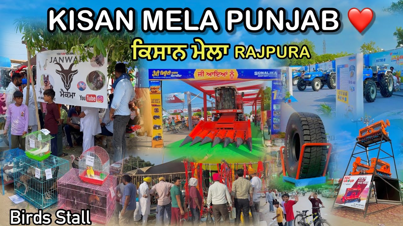 KISAN MELA PUNJAB || ਸਾਰੇ ਜਾਨਵਰਾਂ ਨੂੰ ਮੇਲੇ ਤੇ ਲੈ ਗਏ || Birds Sale ਕਰਤੇ ਆਪਾਂ || #petsvlog #punjab