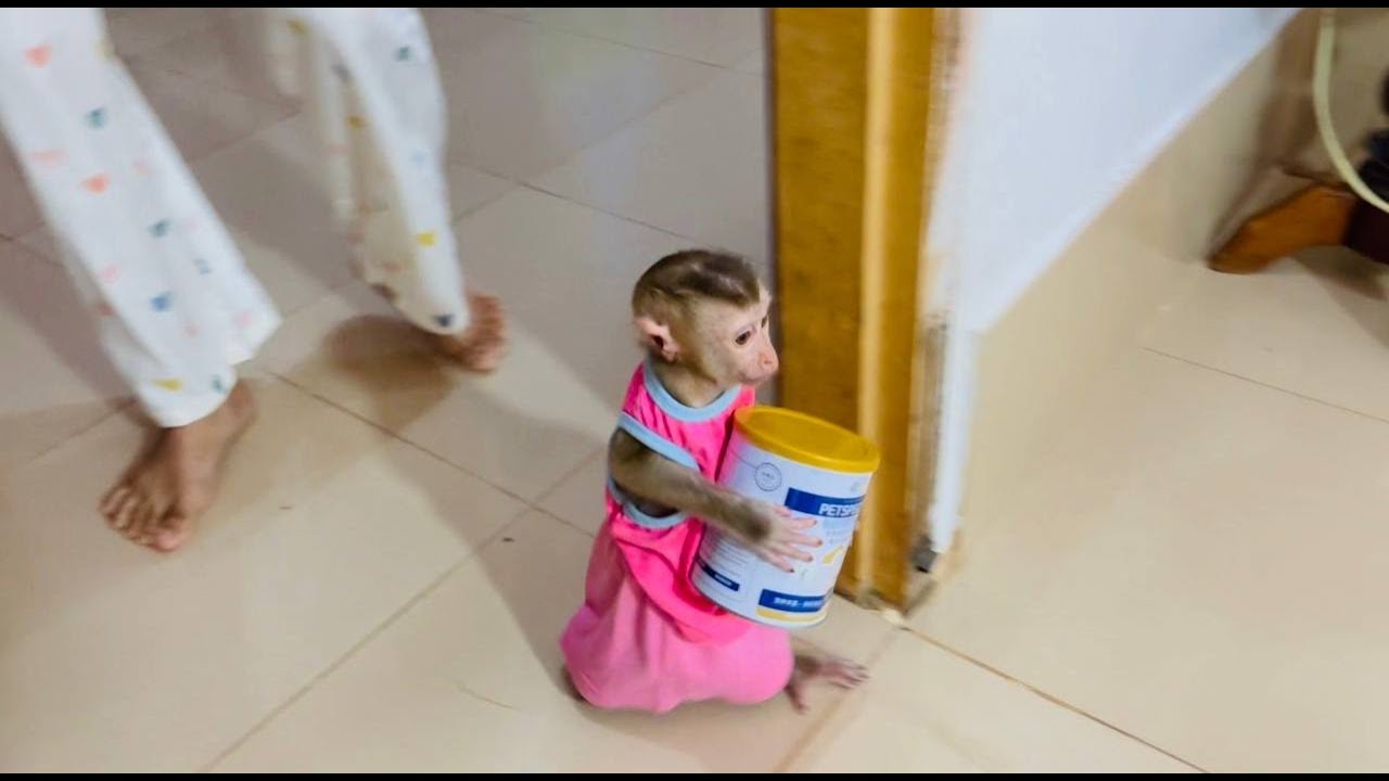 Lady jasmine hold box milk look cry stronq walkinq infront of mom