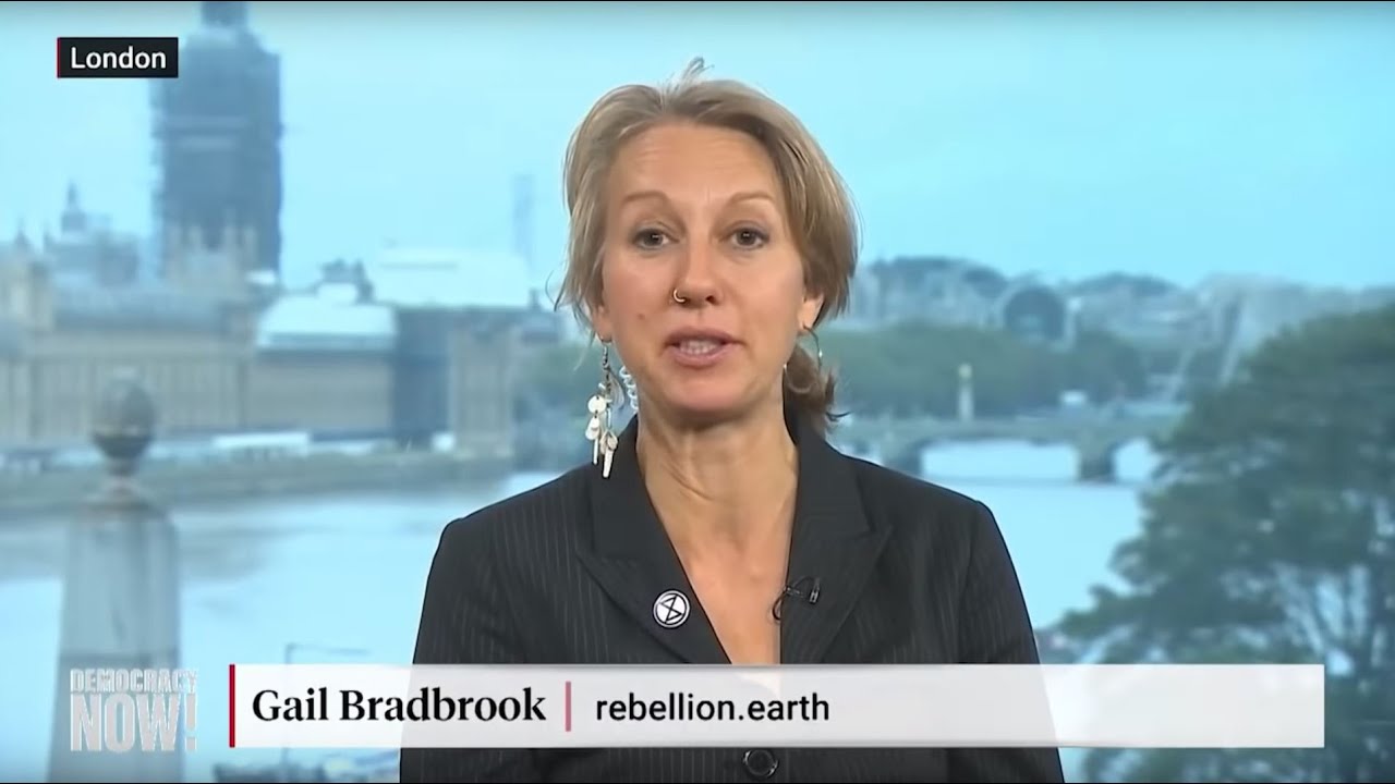 Democracy Now! | This is Not A Drill | Extinction Rebellion