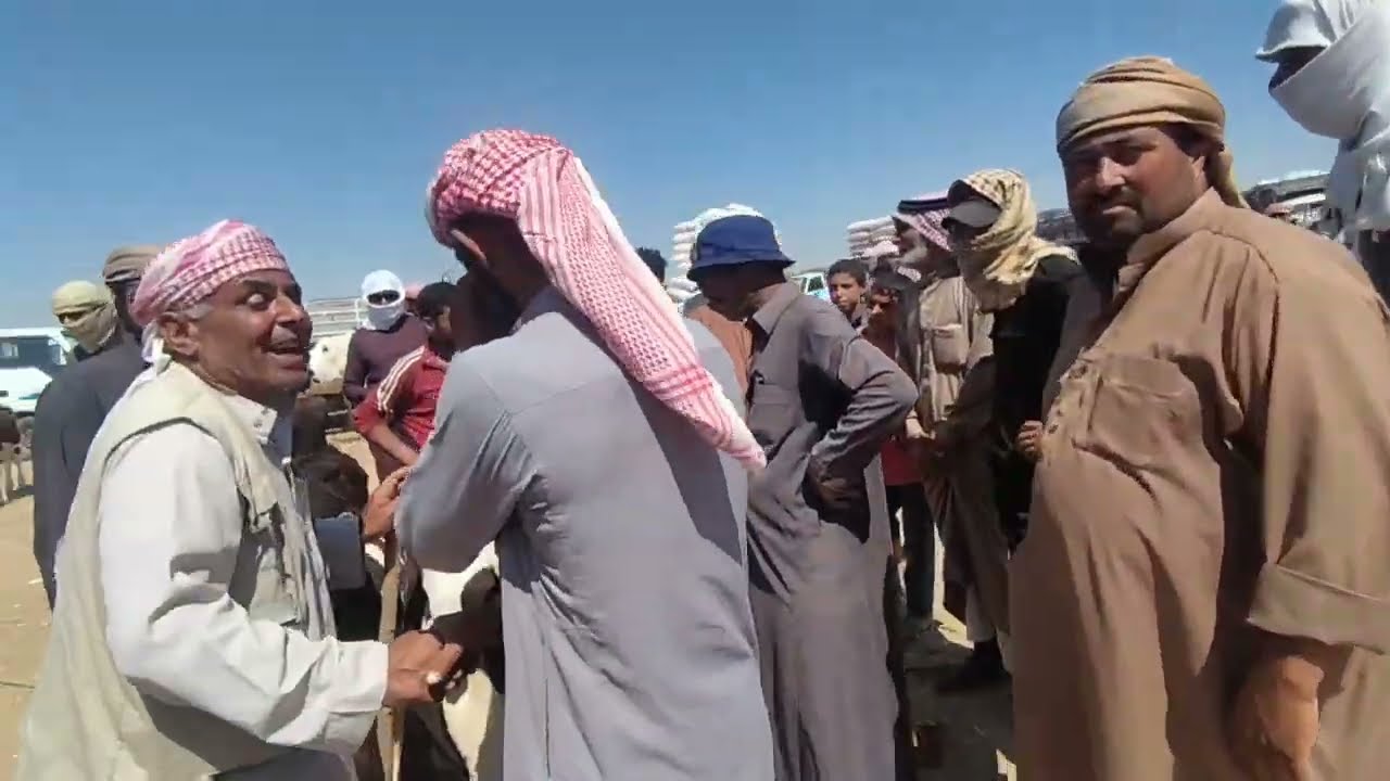 الرقة سوق العدنانية سوق البقر الآثنين 31_7_2023 حركة ممتازة اليوم