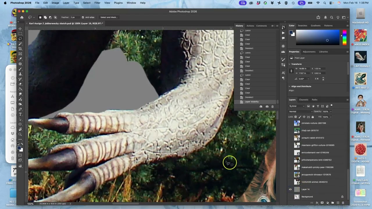 9  Cutting Out the External Edges with a Feathered Lasso