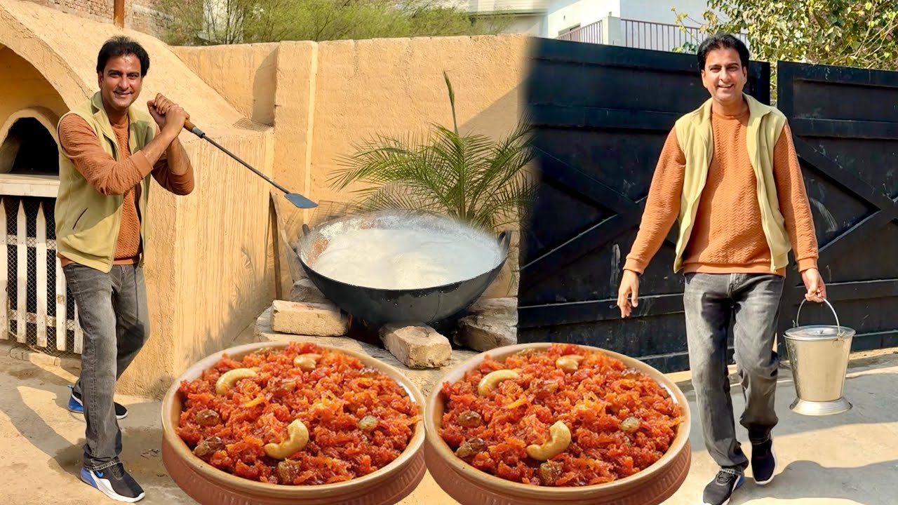 Mini Zoo se Doodh Lia aor Gajar ka Halwa Bna dia||How to make Gajar ka Halwa||Wahab kamran