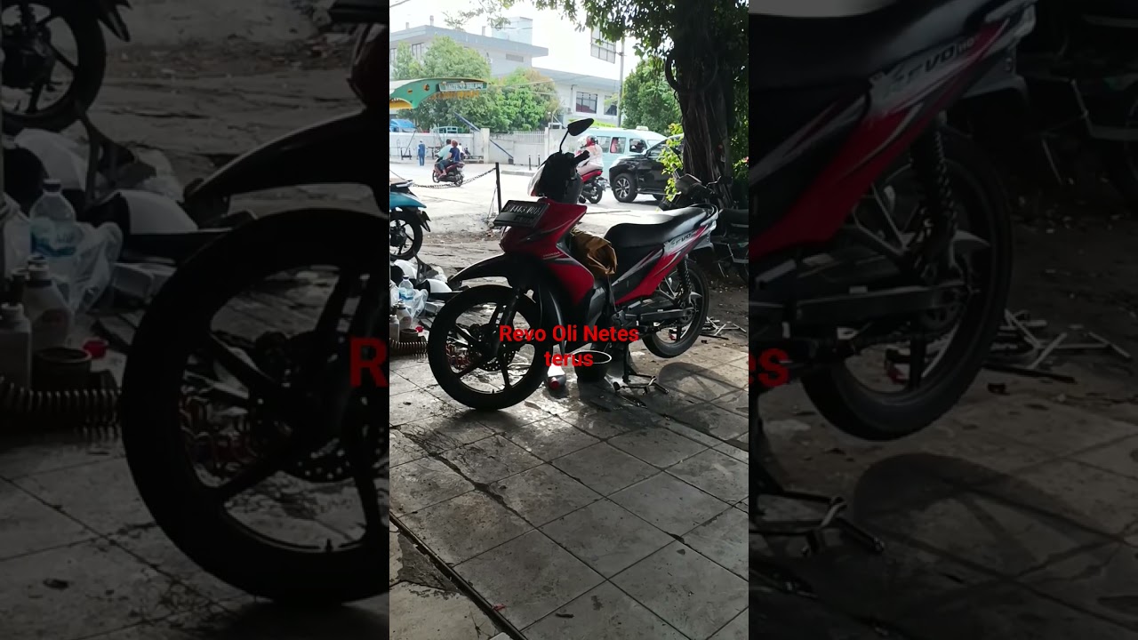 Revo Oli Netes Terus