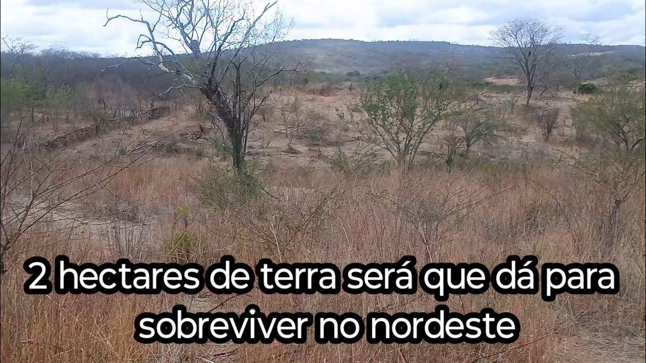 Comprar 2 hectares de terra no nordeste quanto custa