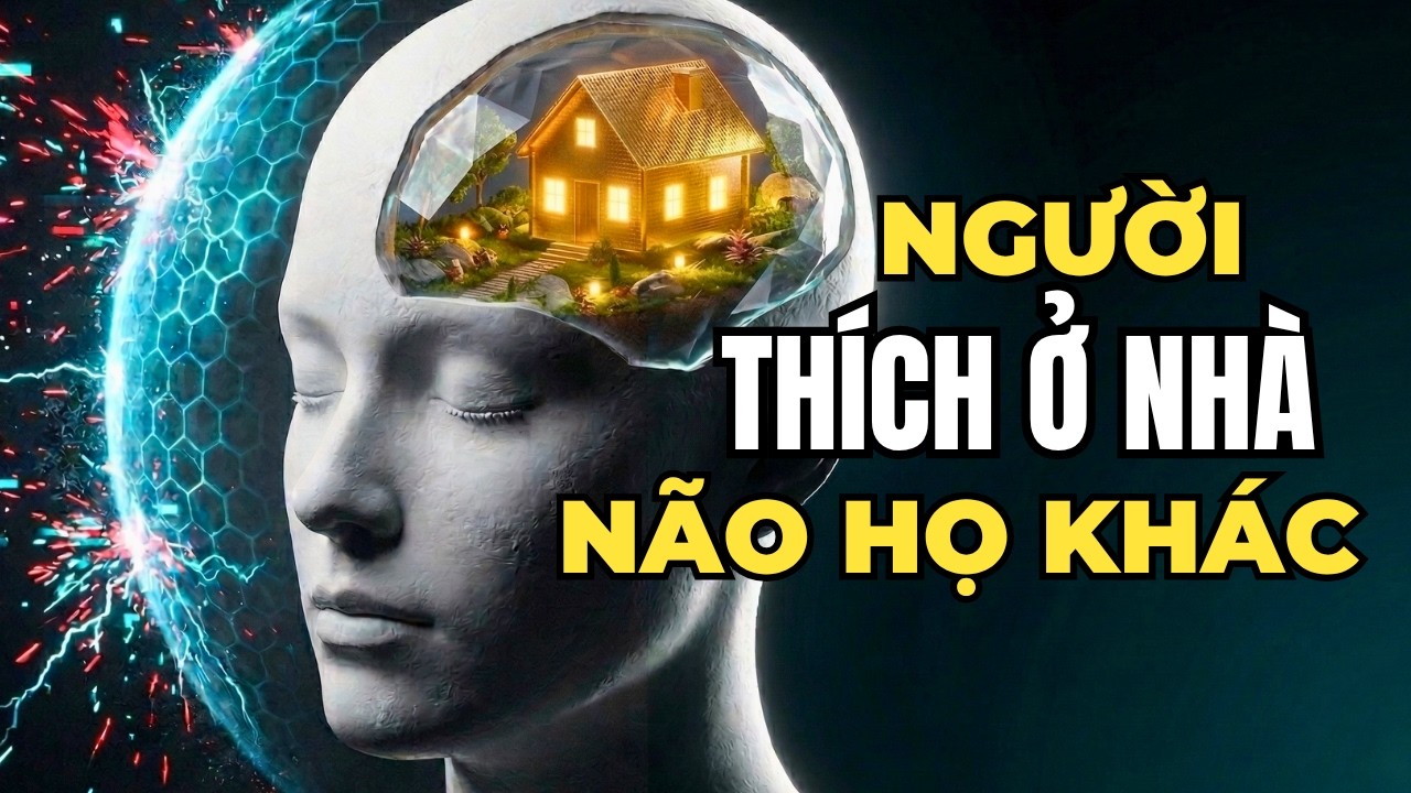 Não Bộ Người Thích Ở Nhà Hoạt Động Khác Biệt Như Thế Nào?